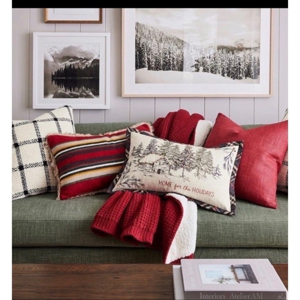 NWOT Pottery Barn Chenille Waffle Sherpa‎ Back Throw Red White 50"×60"